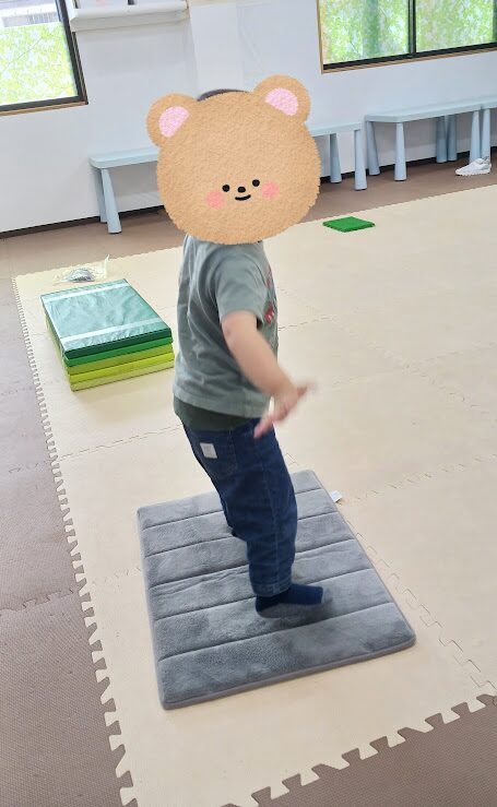 本日の活動☆うんどうあそび