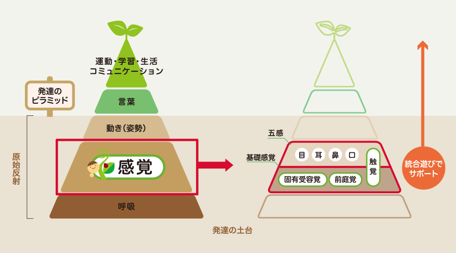 支援プログラム